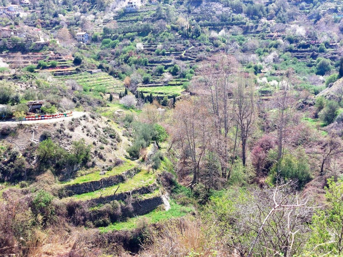 Agros Green Valley Suites Limassol Exterior foto